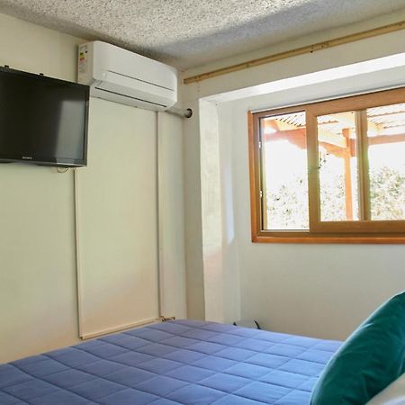 Hostal Aldea Colchagua Experience Santa Cruz Bagian luar foto